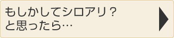 シロアリを寄せ付けないメンテナンス