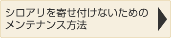 シロアリを寄せ付けないメンテナンス